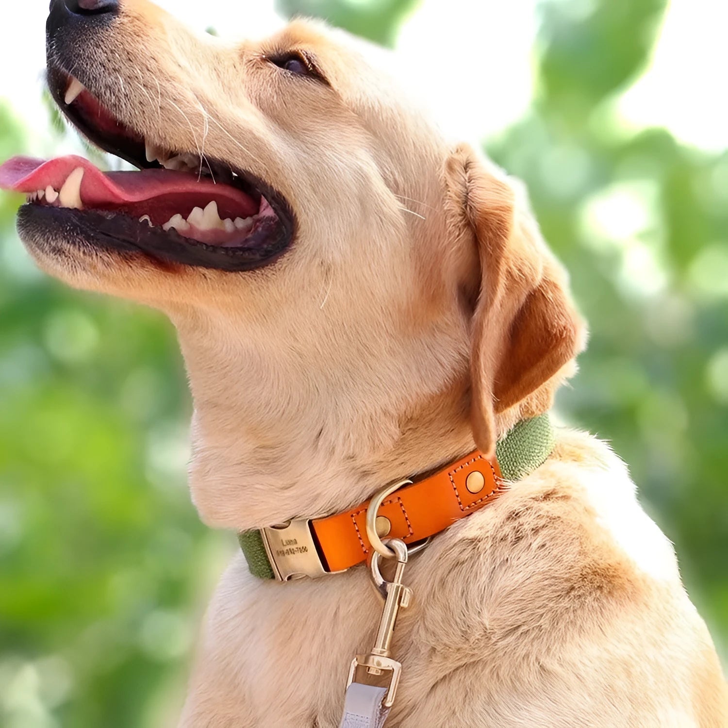 Small dog collar and lead set made from soft mohair in a light blue colour with contrasting lettering.