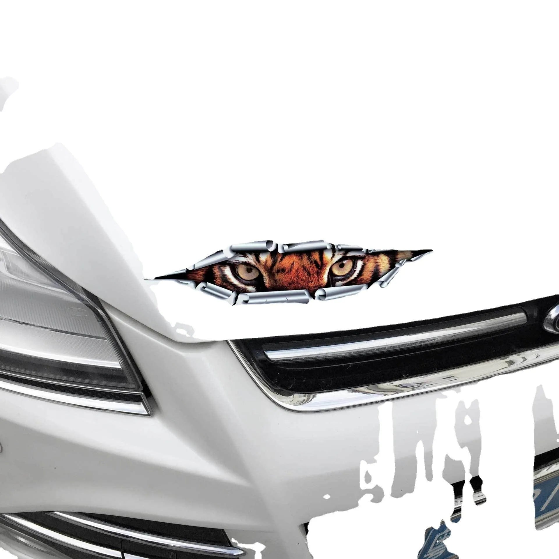 3D Tiger Eye and Eagle Eye design car bumper sticker on transparent background showing size and detail