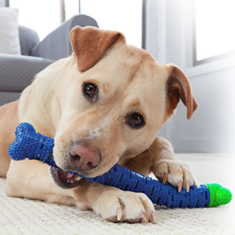 Blue green silicone dog dental cleaning stick chew toy with brush head texture, measuring 25 cm.