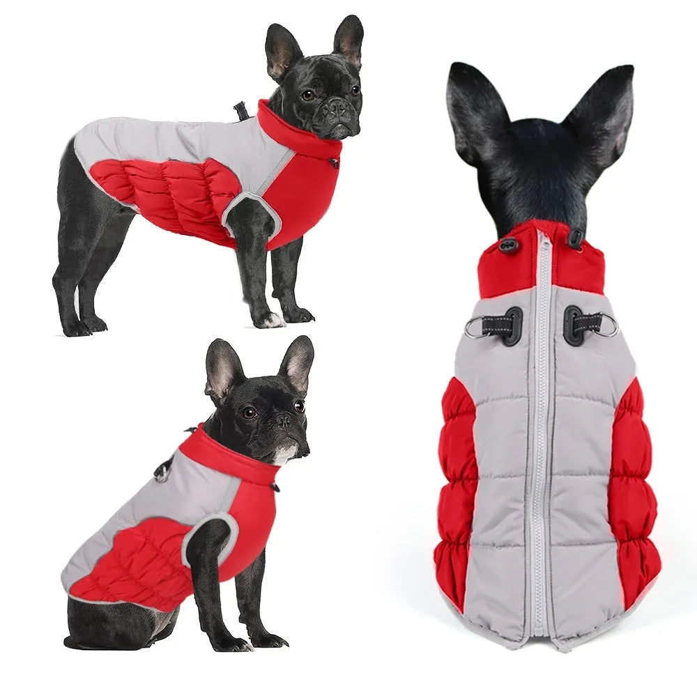 Windproof cotton dog coat for medium and large dogs in black, blue, red, and navy, sizes XL to 6XL