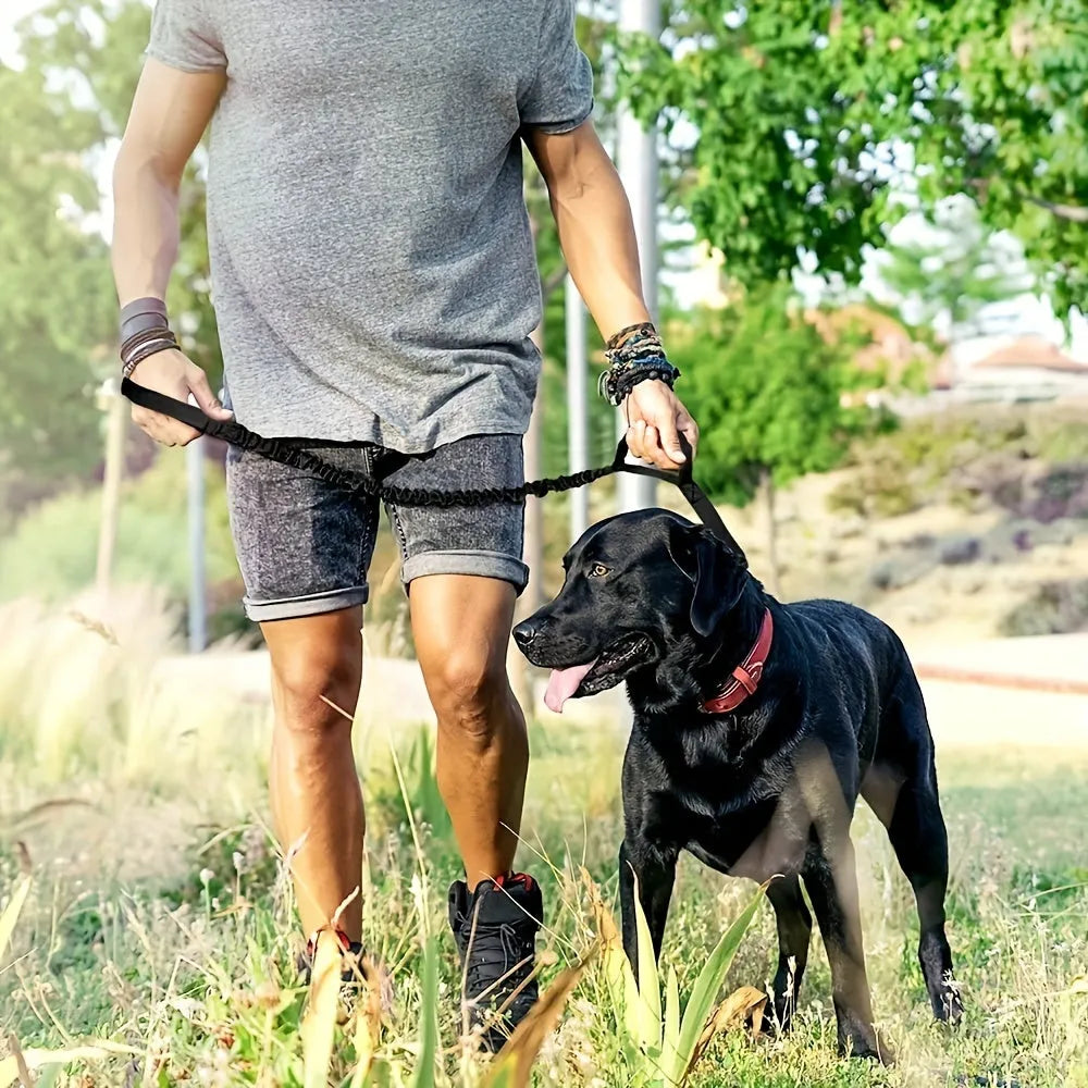 Retractable dog leash for large breeds with anti-burst safety technology