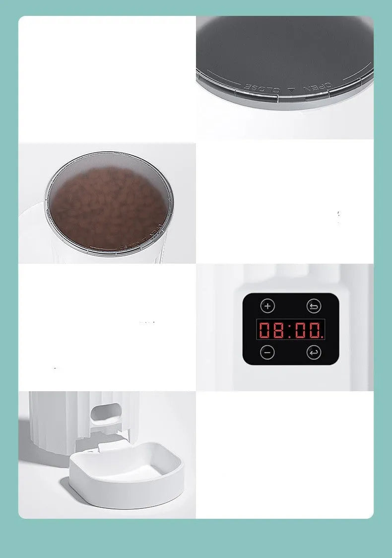 White PP plastic cat automatic pet feeder with programmable schedule and WiFi control on a countertop