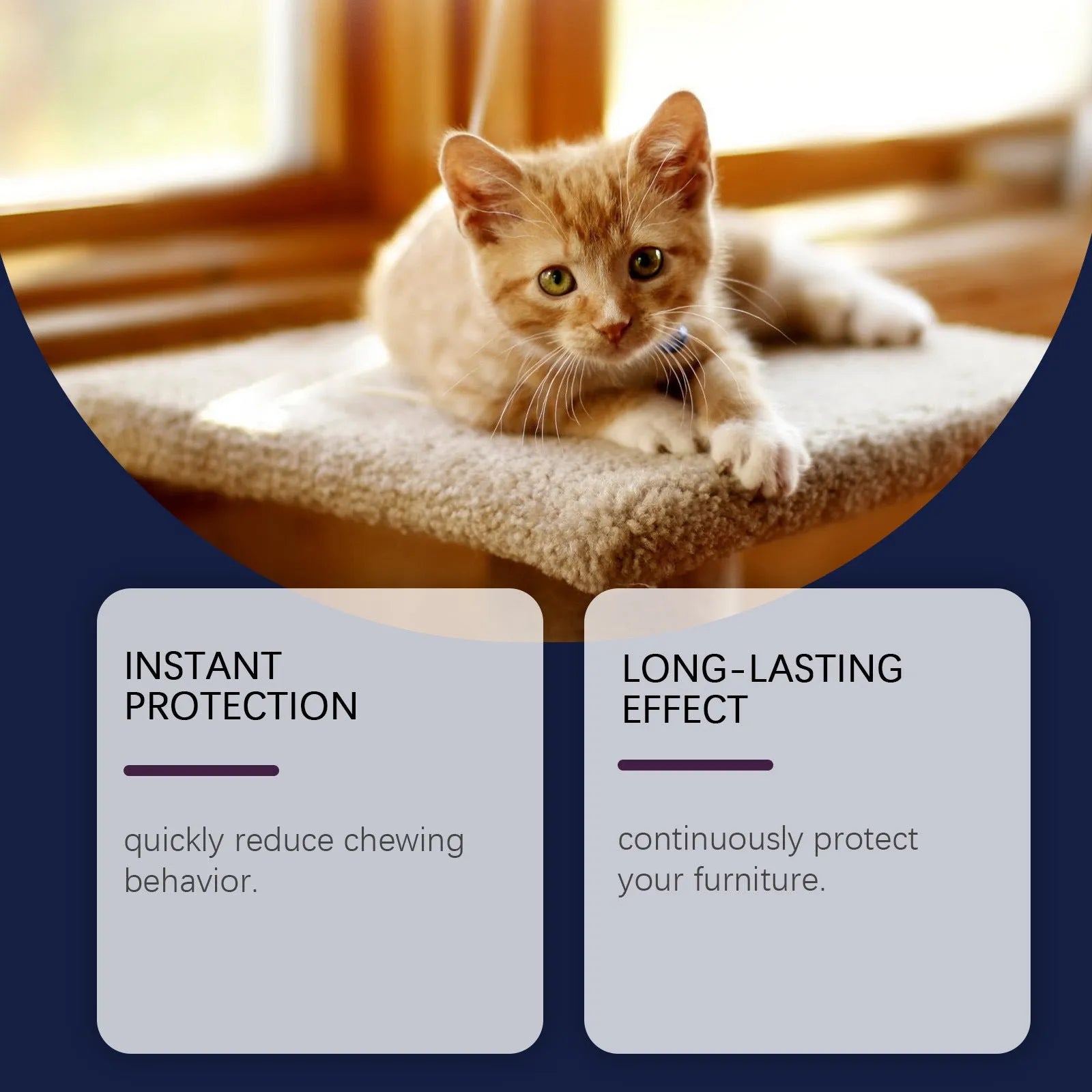 Pet anti-chewing spray 50ml bottle for indoor training of dogs and cats to deter biting and scratching on furniture