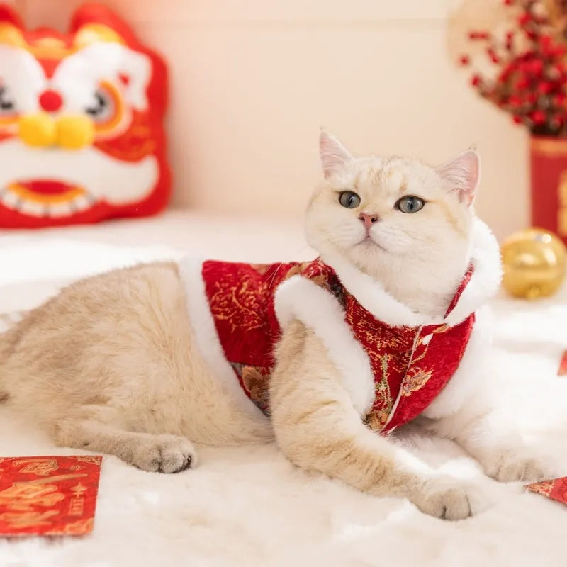Pet Chinese New Year Tang suit coat with frog knot closure, brocade fabric, and fluffy fur trim on a small dog