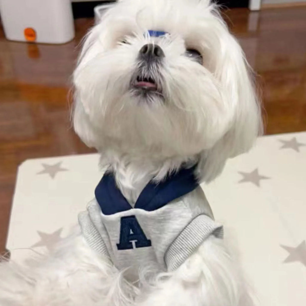 Blue and grey white slim-fit pet jumper with reflective lettering for a dog or cat