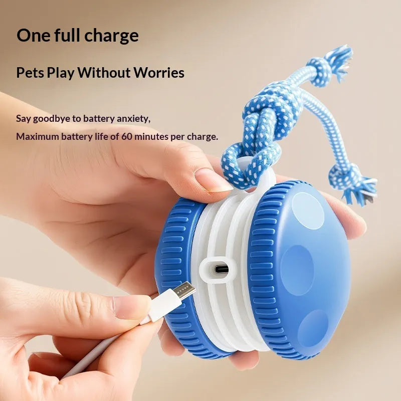 Rechargeable rolling pet ball toy in orange and blue made of ABS plastic for cats and dogs