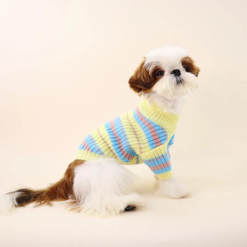 Blue and yellow striped wool dog sweater for small breeds including Jarre Aero Bull and Schnauzer
