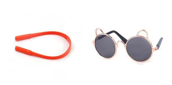 Cat wearing metal frame sunglasses in black with reflective lenses