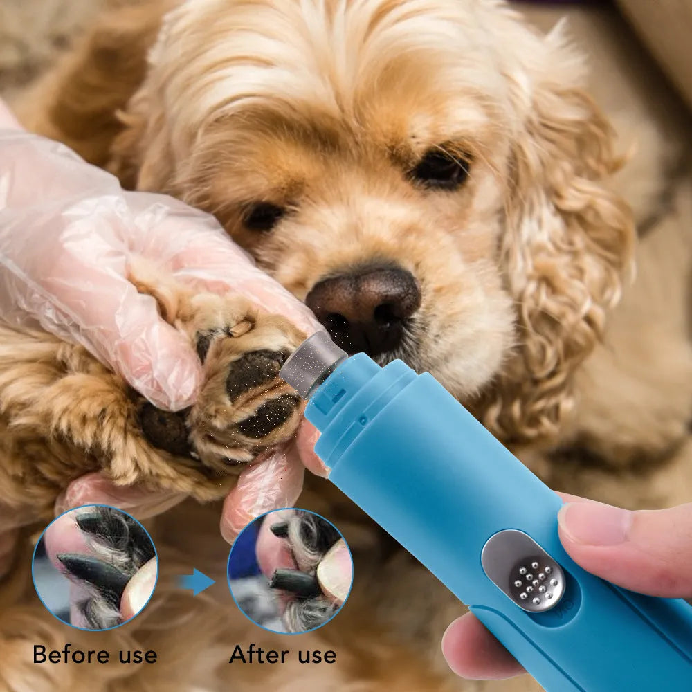 Blue electric pet nail grinder with diamond grinding head for safe dog claw trimming