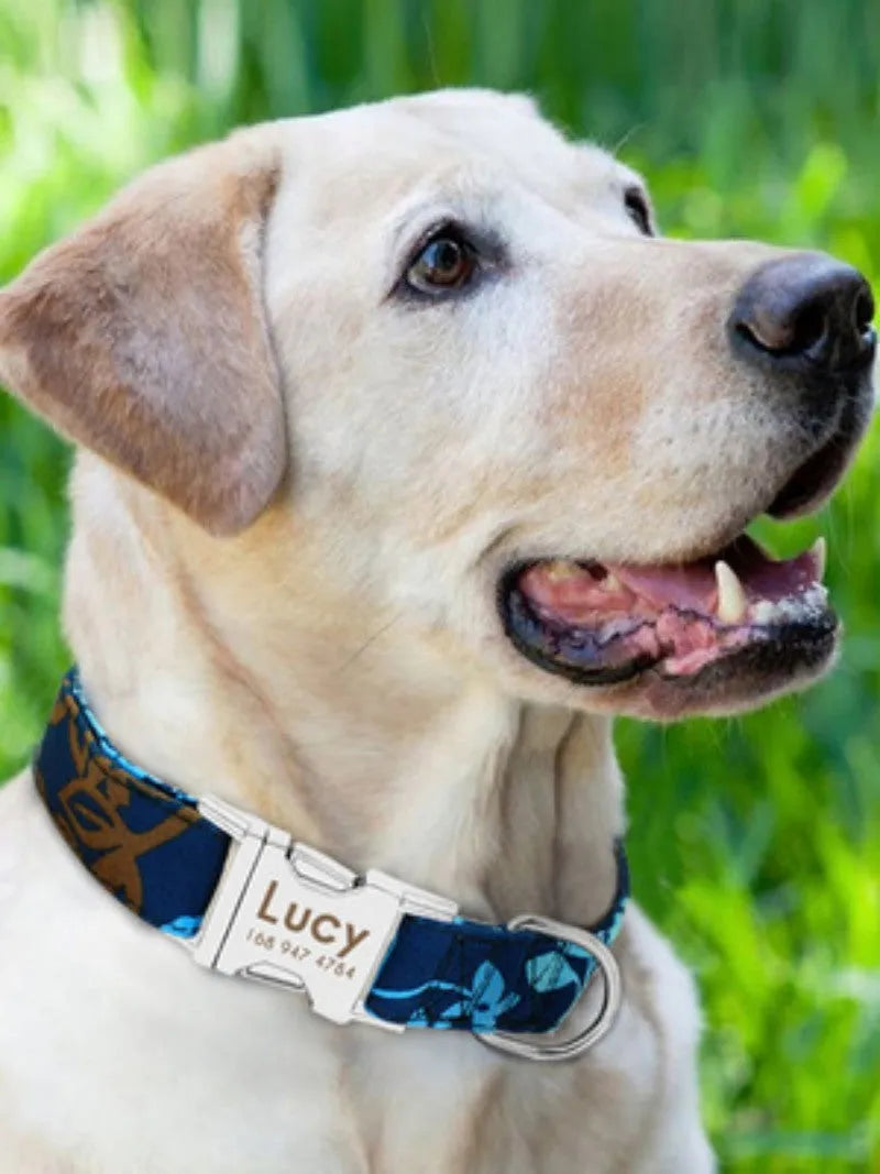 Adjustable dog collar shown in black, green, or rose red, available in S, M, and L sizes.