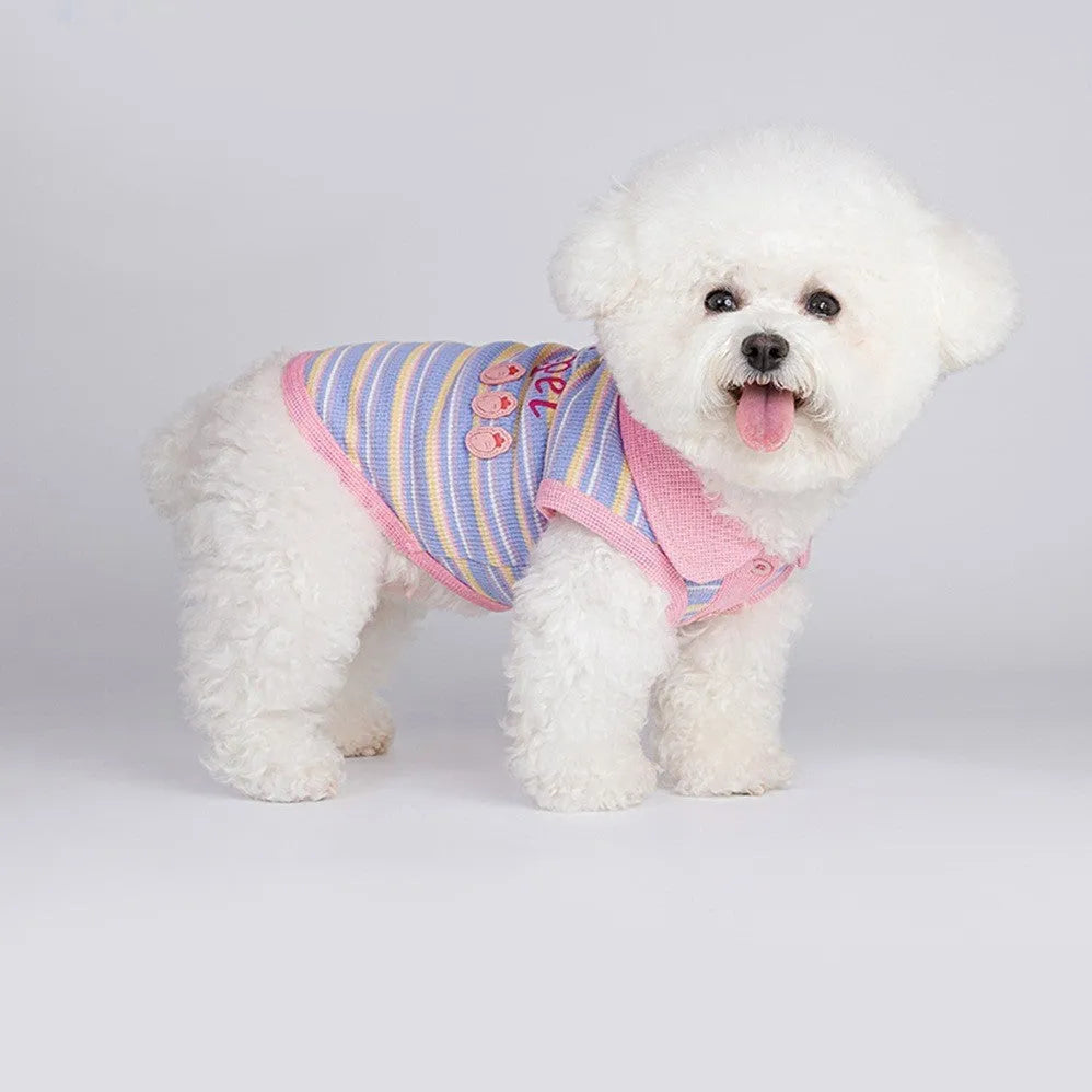 Pink purple lightweight vest for a small dog or cat, shown as autumn pet clothing.