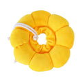 Soft cotton pet recovery Elizabethan collar with adjustable band on a cat.