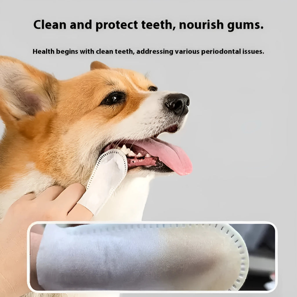 A pack of 50 disposable non-woven fabric finger cots for cleaning dog and cat teeth