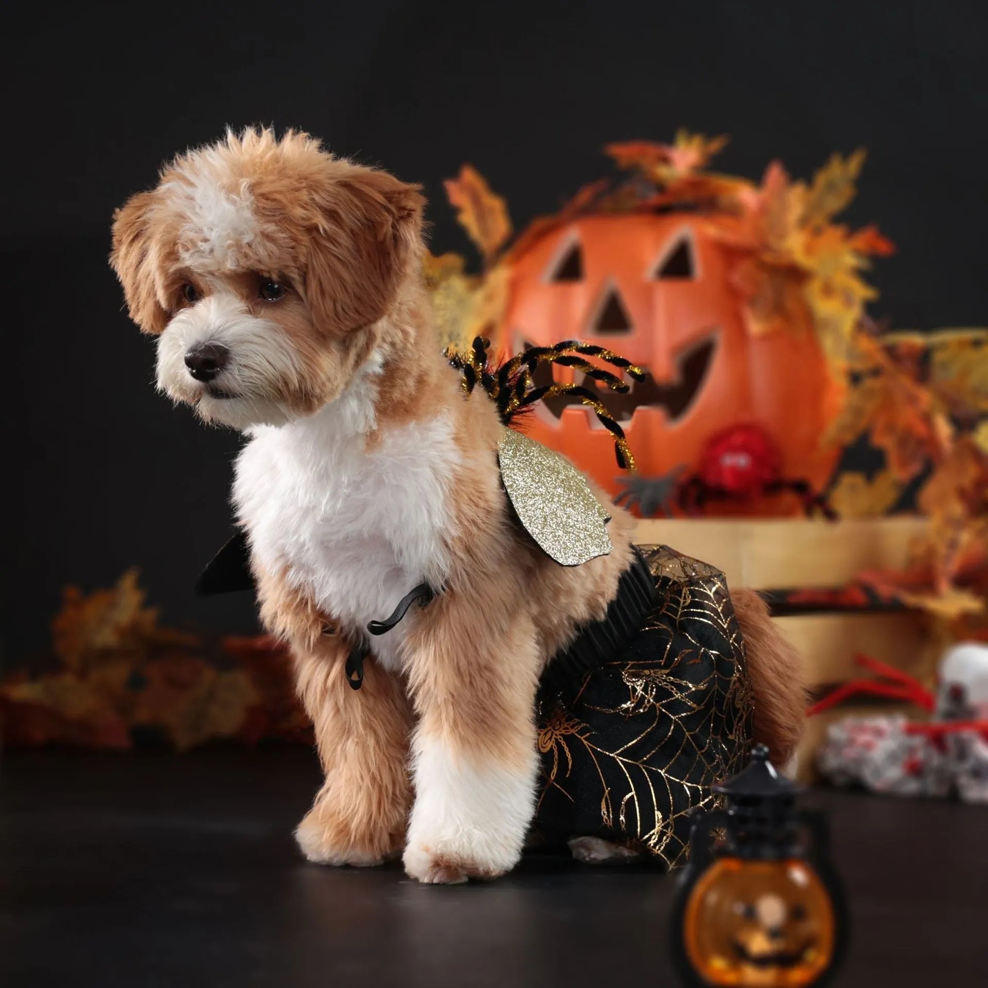 Blue polyester dog Halloween costume suit for small medium large extra large pets