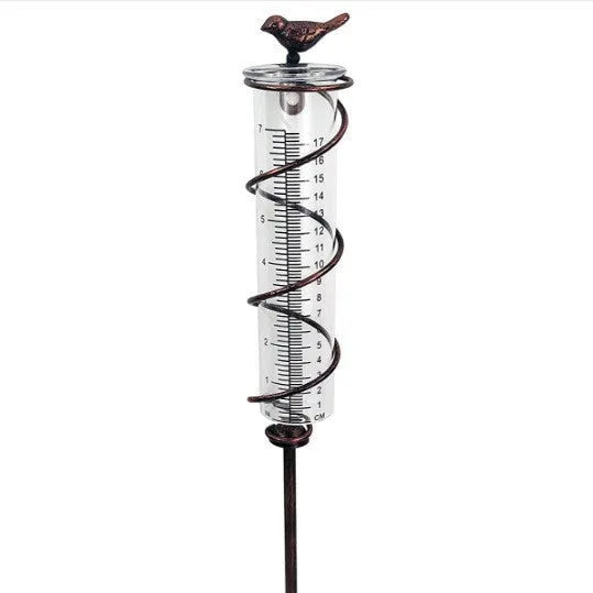 Bird-shaped garden rain gauge with glass measurement cylinder showing 0-800ml capacity and 1-20 scale