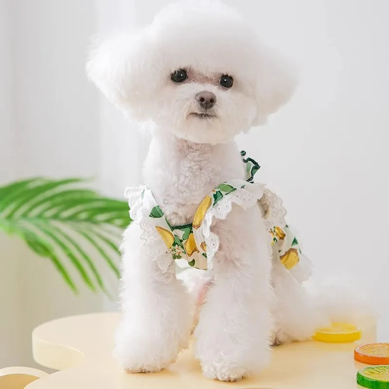 Rock yellow lemon thin breathable polyester strap skirt for small dogs princess style