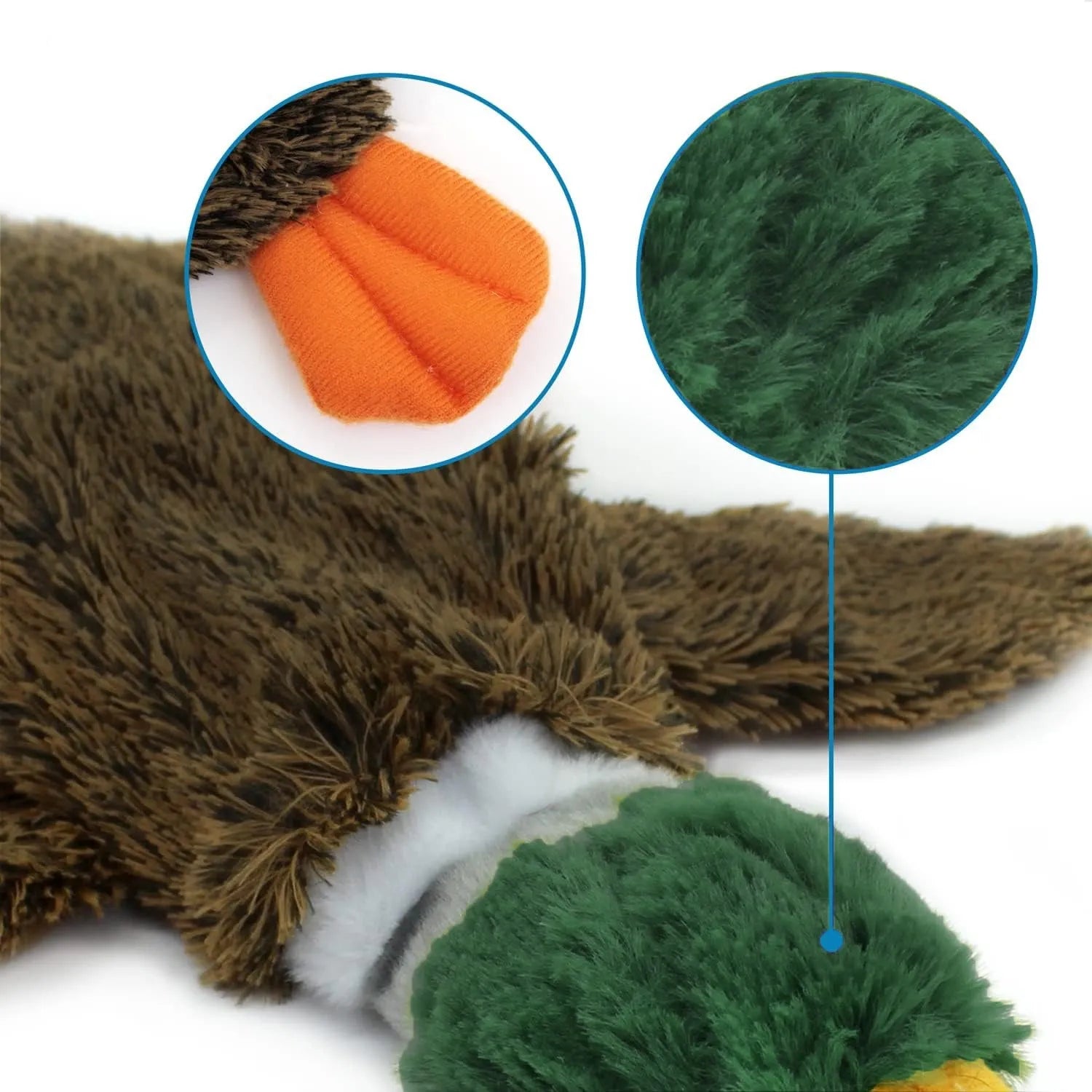 Green Wild Duck stuffless plush dog toy with squeakers and a cavity for a bottle.