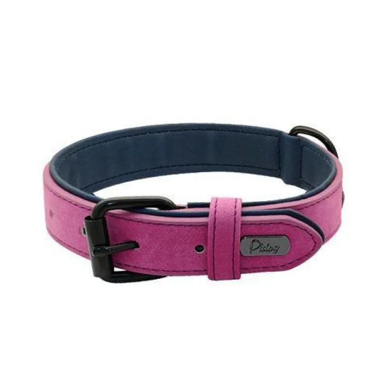 Adjustable dog collar with buckle fastening in purple colour showing double-layer construction