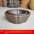 Large hexagonal purple sand flowerpot in brown colour for flowers and green plants
