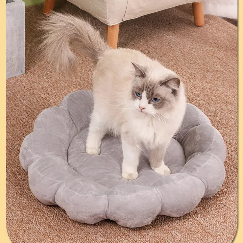 Blue half-enclosed plush pet bed measuring 50cm square for cats and small dogs.