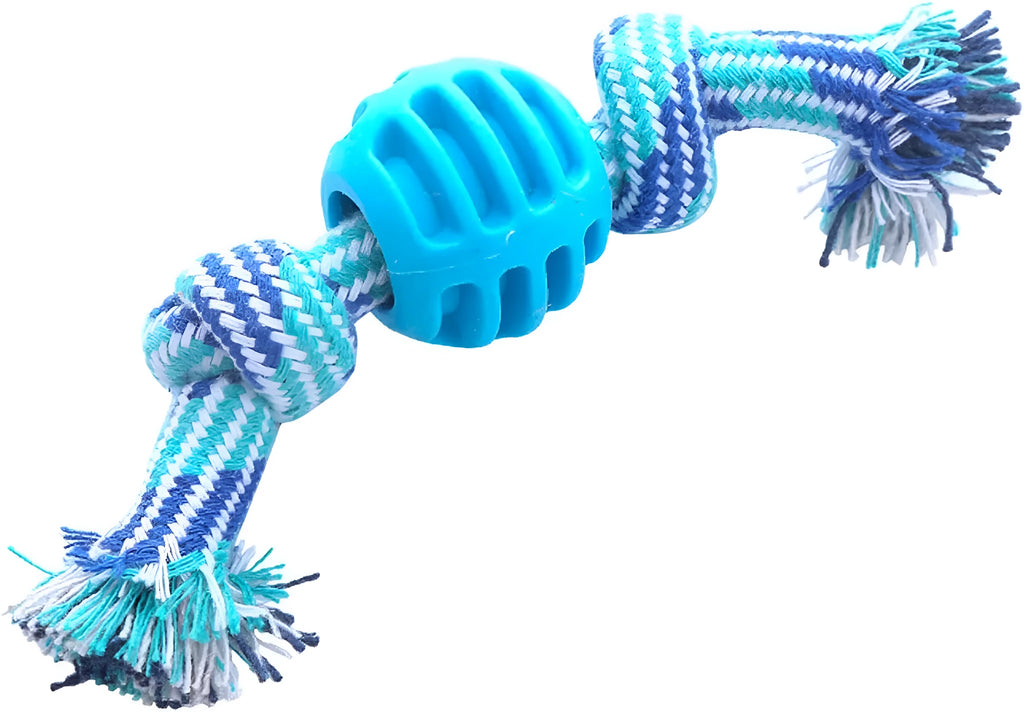 Blue dog chew toy with a textured molar shape and integrated knotted ropes on a white background.