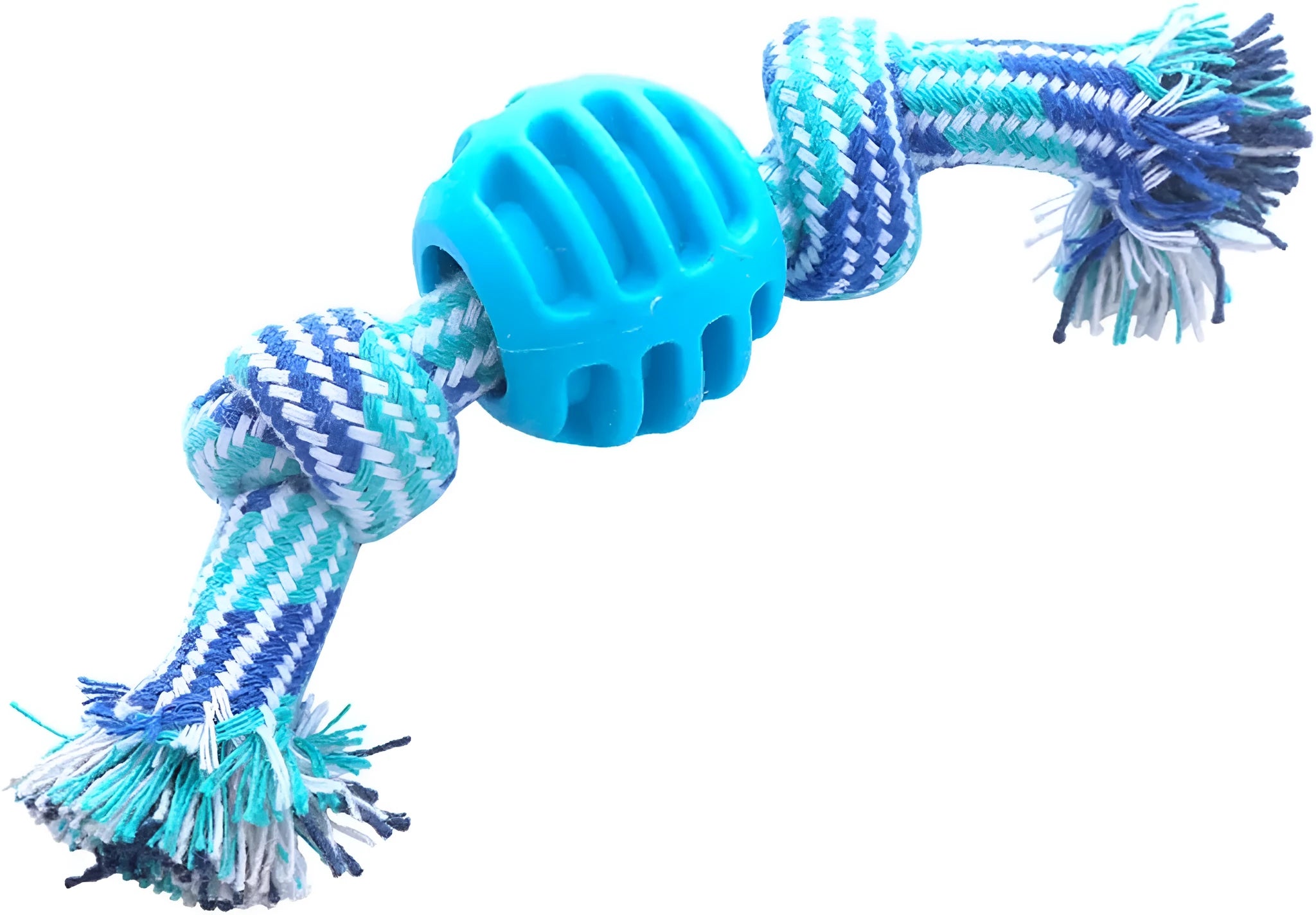 Blue dog chew toy with a textured molar shape and integrated knotted ropes on a white background.