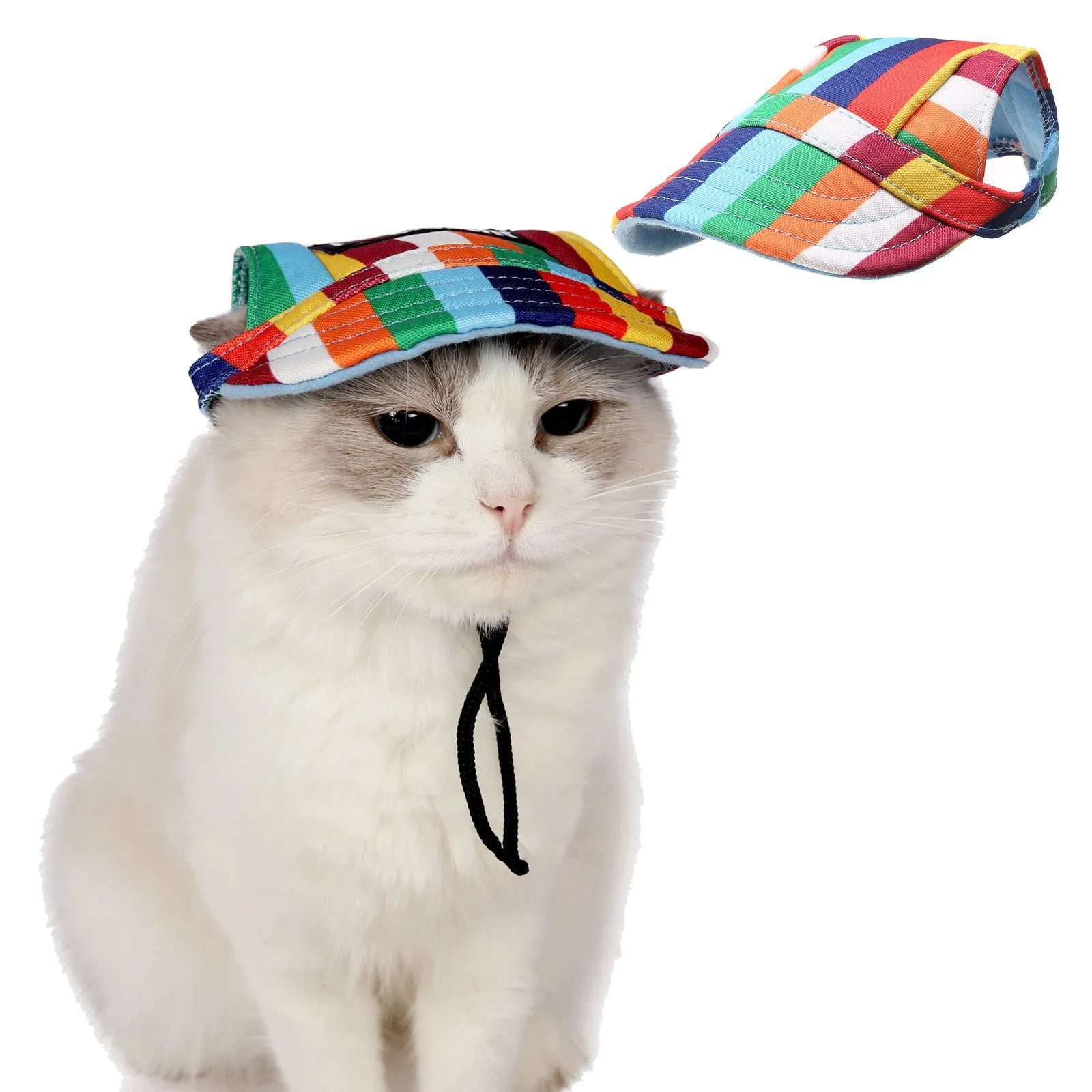 Dog wearing a baseball-style sun hat made of 63% cotton and 37% Terylene in a casual outdoor setting