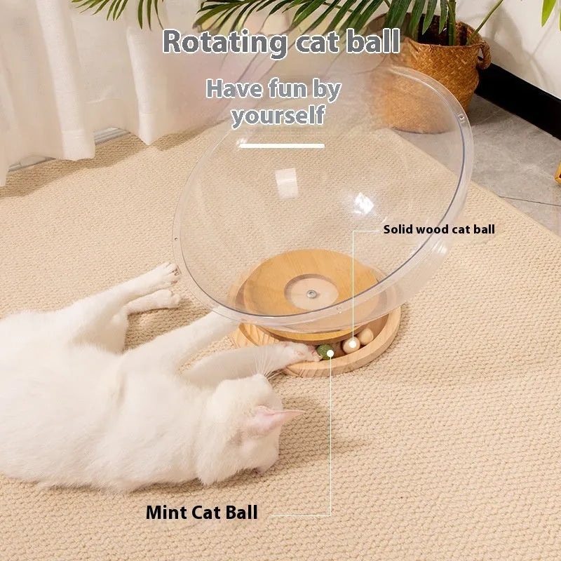Transparent acrylic space capsule cat bed with a turntable base on a wooden floor.