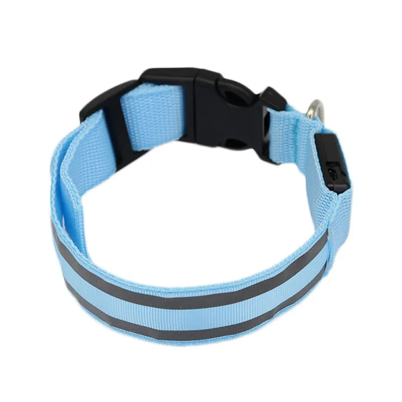 Anti-lost LED luminous dog collar in nylon webbing with LED lights on, available in multiple sizes and colours