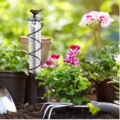 Bird-shaped garden rain gauge with glass measurement cylinder showing 0-800ml capacity and 1-20 scale