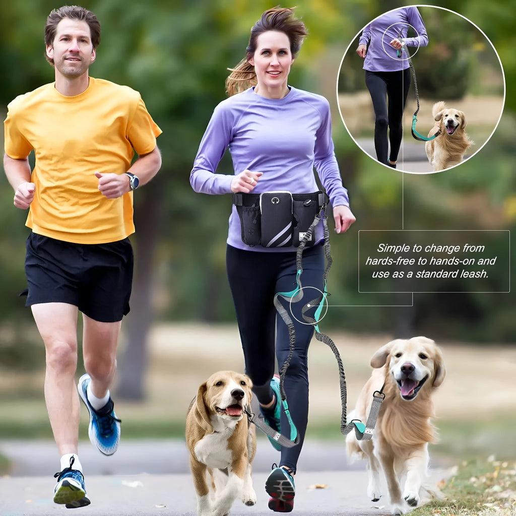 Black nylon outdoor dog walking set showing a waist bag, attached leash, and matching dog collar.