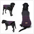 Reflective dog jacket in blue-green on white background with breathable mesh chest panel and alloy fasteners