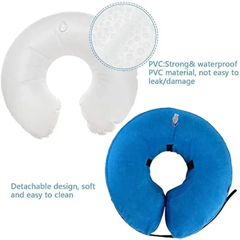 Blue inflatable recovery collar for a dog, showing soft cone alternative to plastic surgical collars.