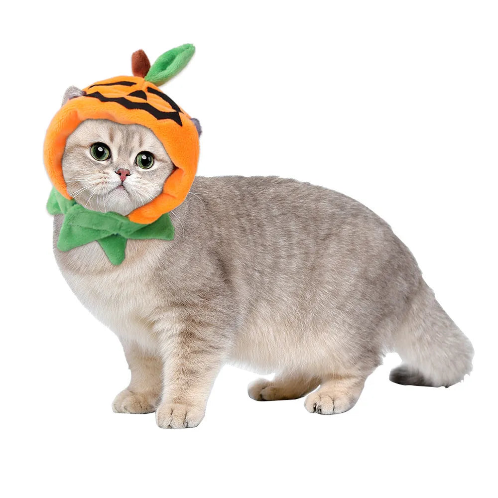 Plush Halloween cloak for pets with double-sided design in pumpkin colours