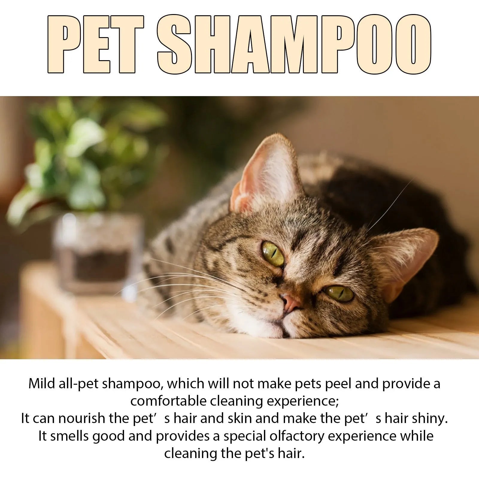 Bottle of mild pet shampoo for dogs and cats in 100ml and 300ml sizes