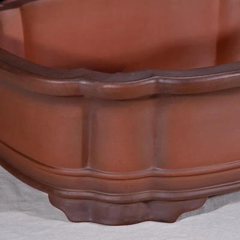 Large antique-style rectangular purple clay flowerpot for garden trees and plants.