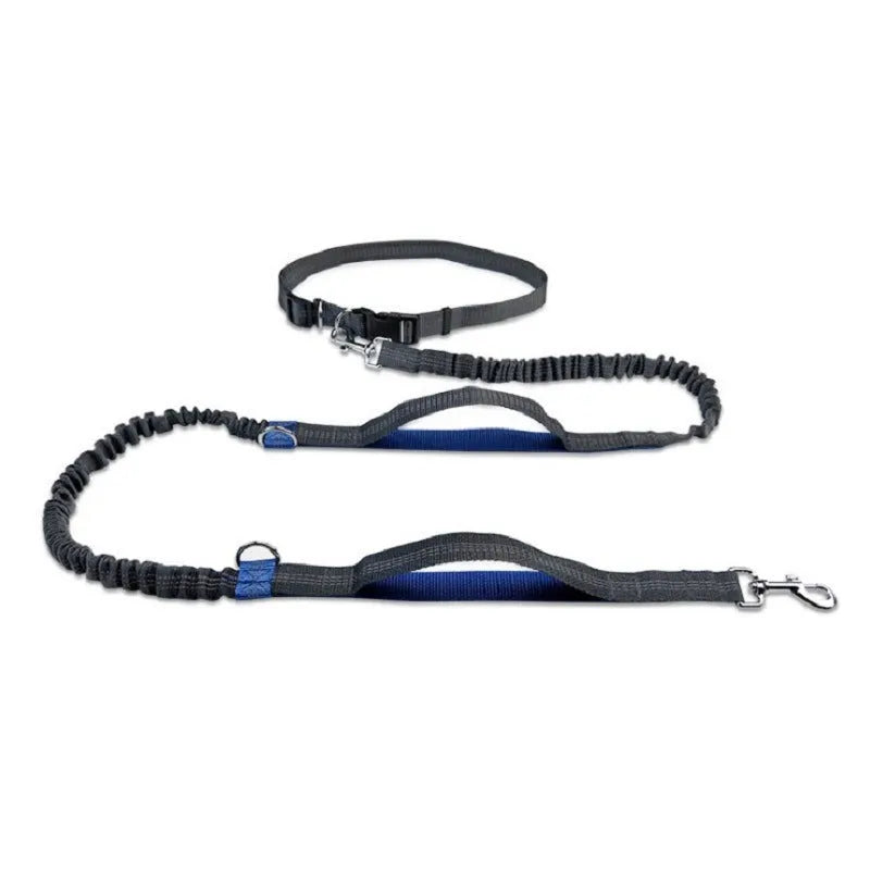 Adjustable pet running belt with extendable leash in fluorescent green, orange, or sapphire blue