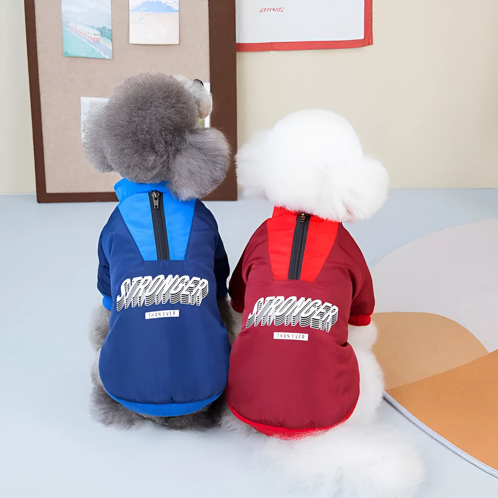 Red or blue dog coat with V-shaped splicing detail, shown on a pet.