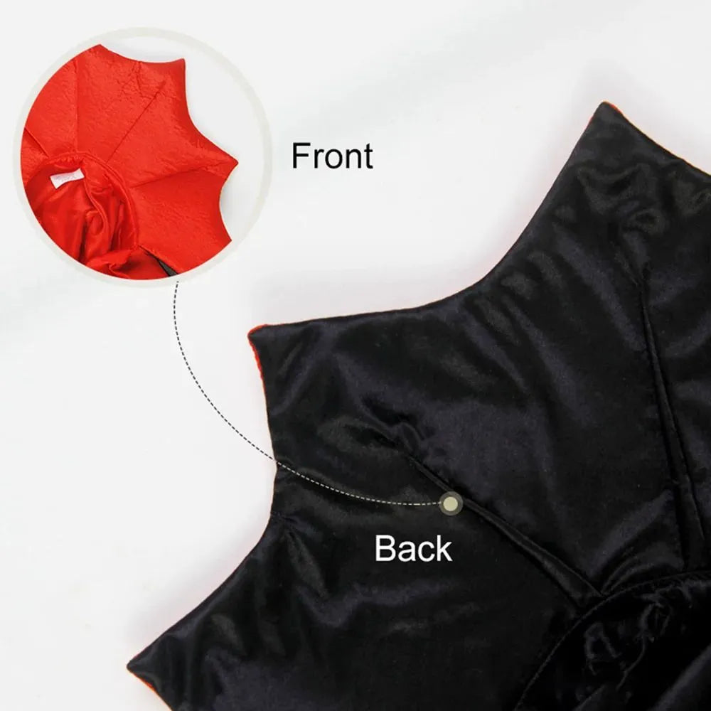 Black vampire cloak Halloween costume on a small dog or cat