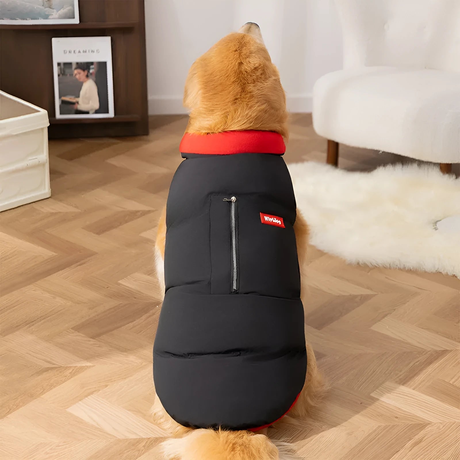 Thick winter cotton-padded dog vest for large dogs with zipper and pocket, black colour