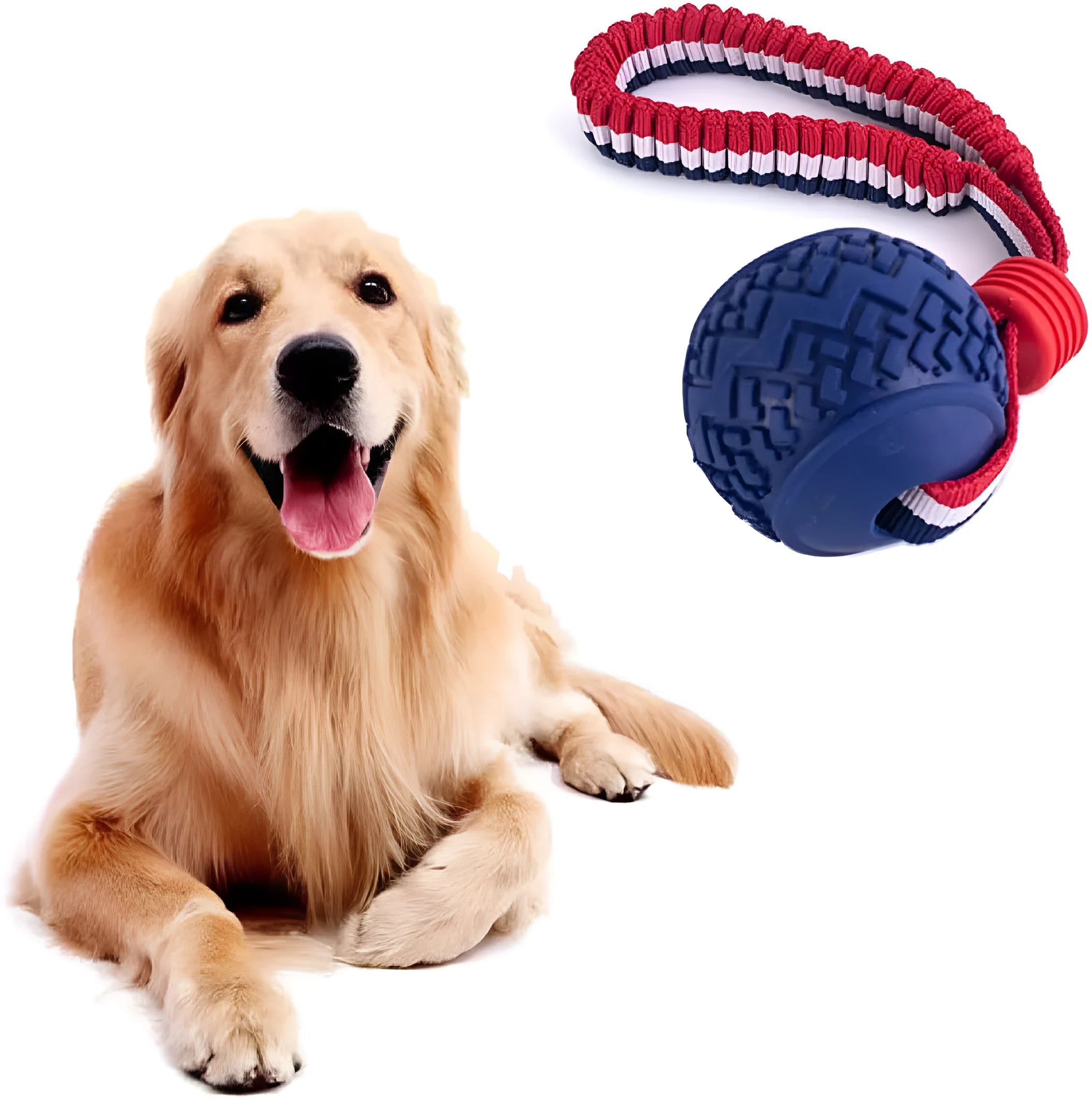 Blue and red natural rubber dog ball with attached rope for tug-of-war and teeth cleaning