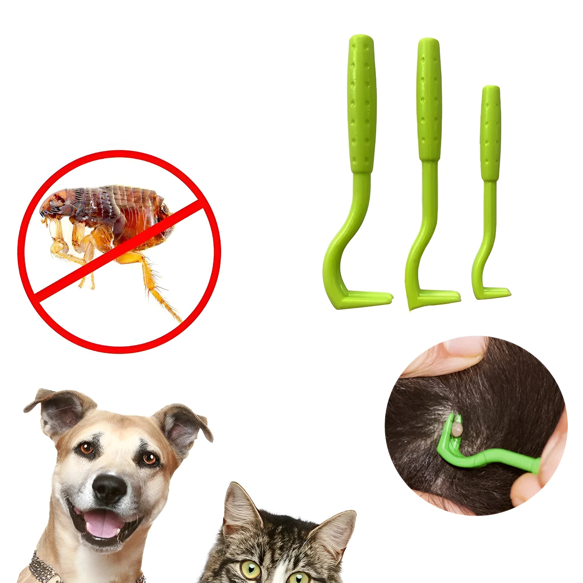 Three plastic pet tick removal hook tools in blue and green colours