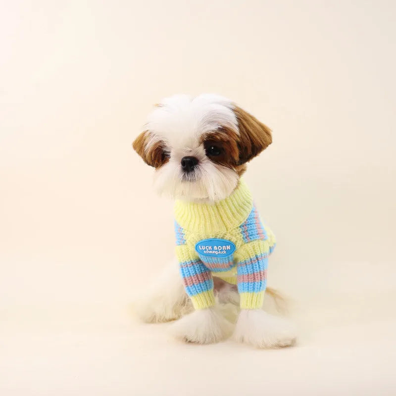 Blue and yellow striped wool dog sweater for small breeds including Jarre Aero Bull and Schnauzer