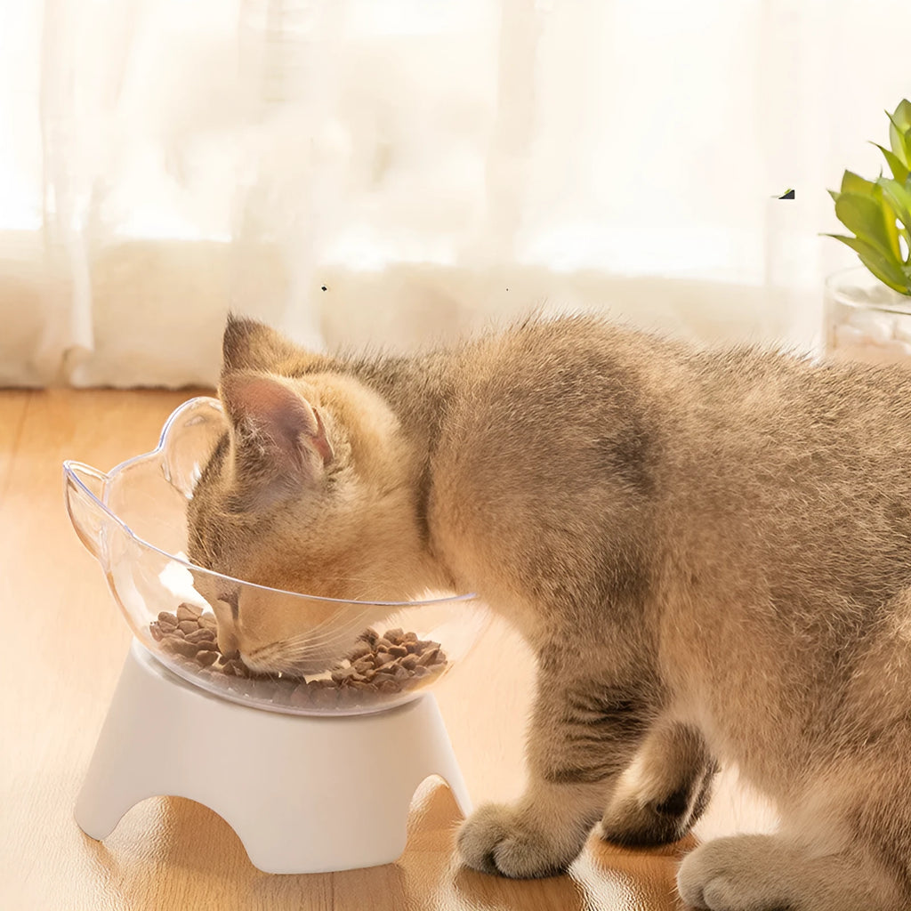 Plastic pet bowl with high feet and non-slip base, oblique mouth shape, transparent double bowl or white colour option