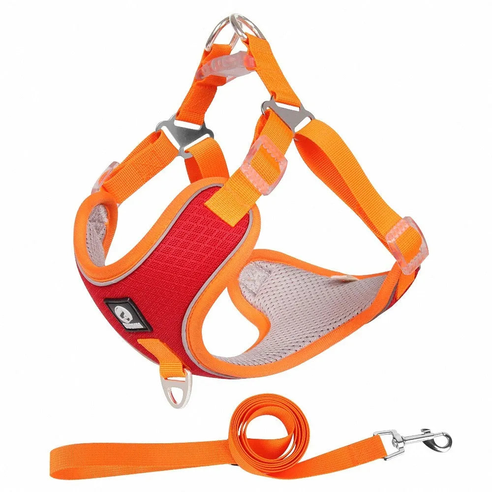 Adjustable soft mesh dog harness with reflective strips in black, shown on a small dog