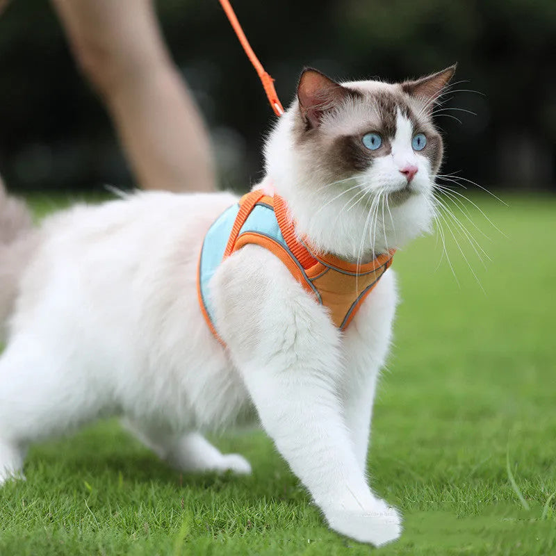 Anti escape reflective cat harness leash set with suede material and colour-matching rope in blue