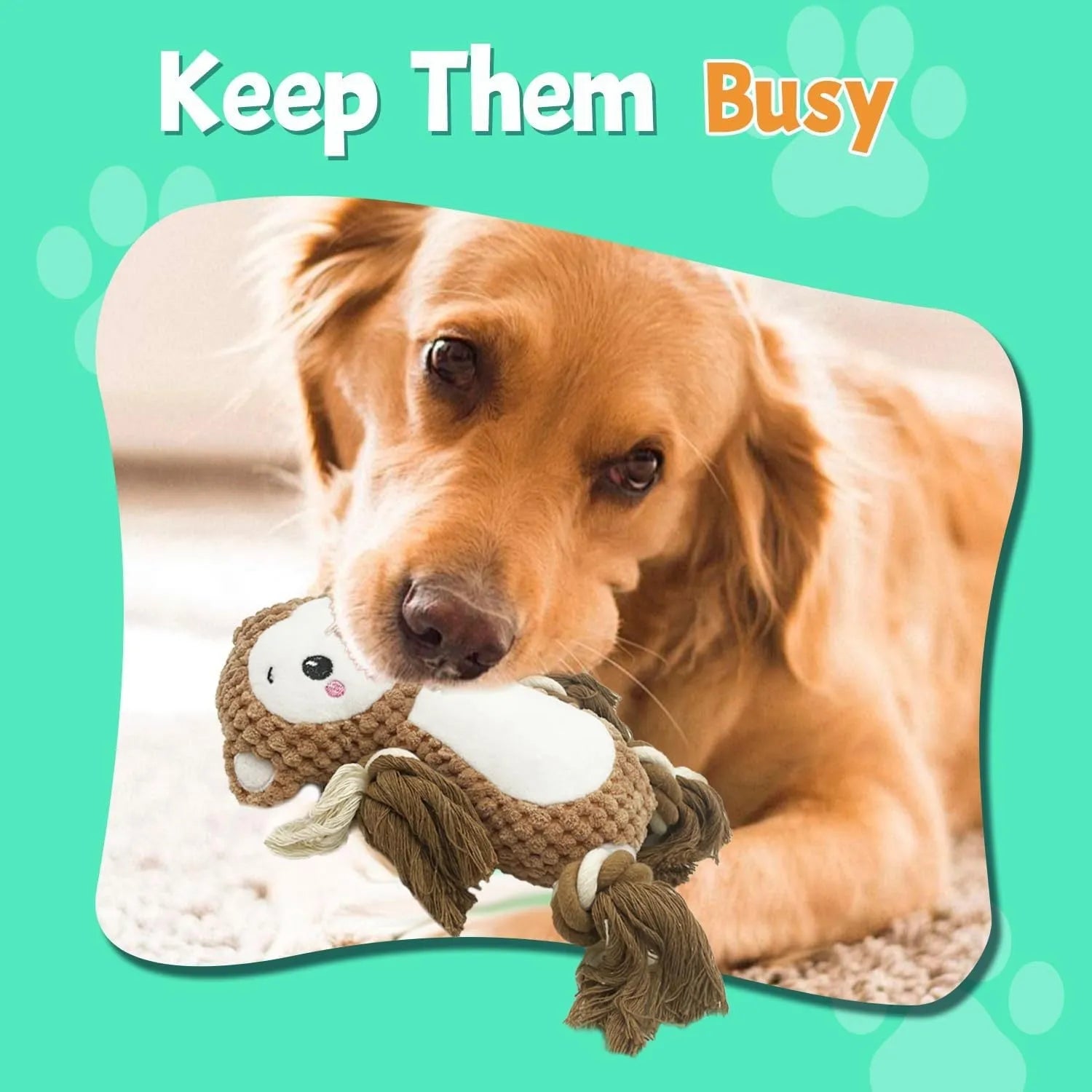 Lion and monkey plush squeaky dog toys showing dimensions: 9x12 cm and 17x13.5 cm