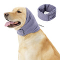 Black dog hoodie with ear covers on canine model showing closure system