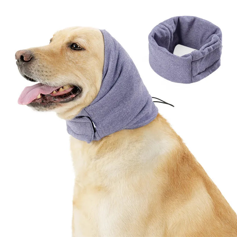 Black dog hoodie with ear covers on canine model showing closure system