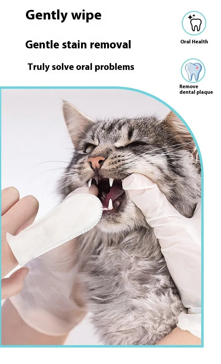 A pack of 50 disposable non-woven fabric finger cots for cleaning dog and cat teeth